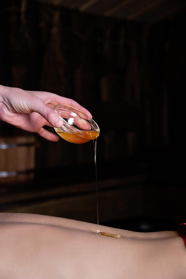 Meltrandelia galeria